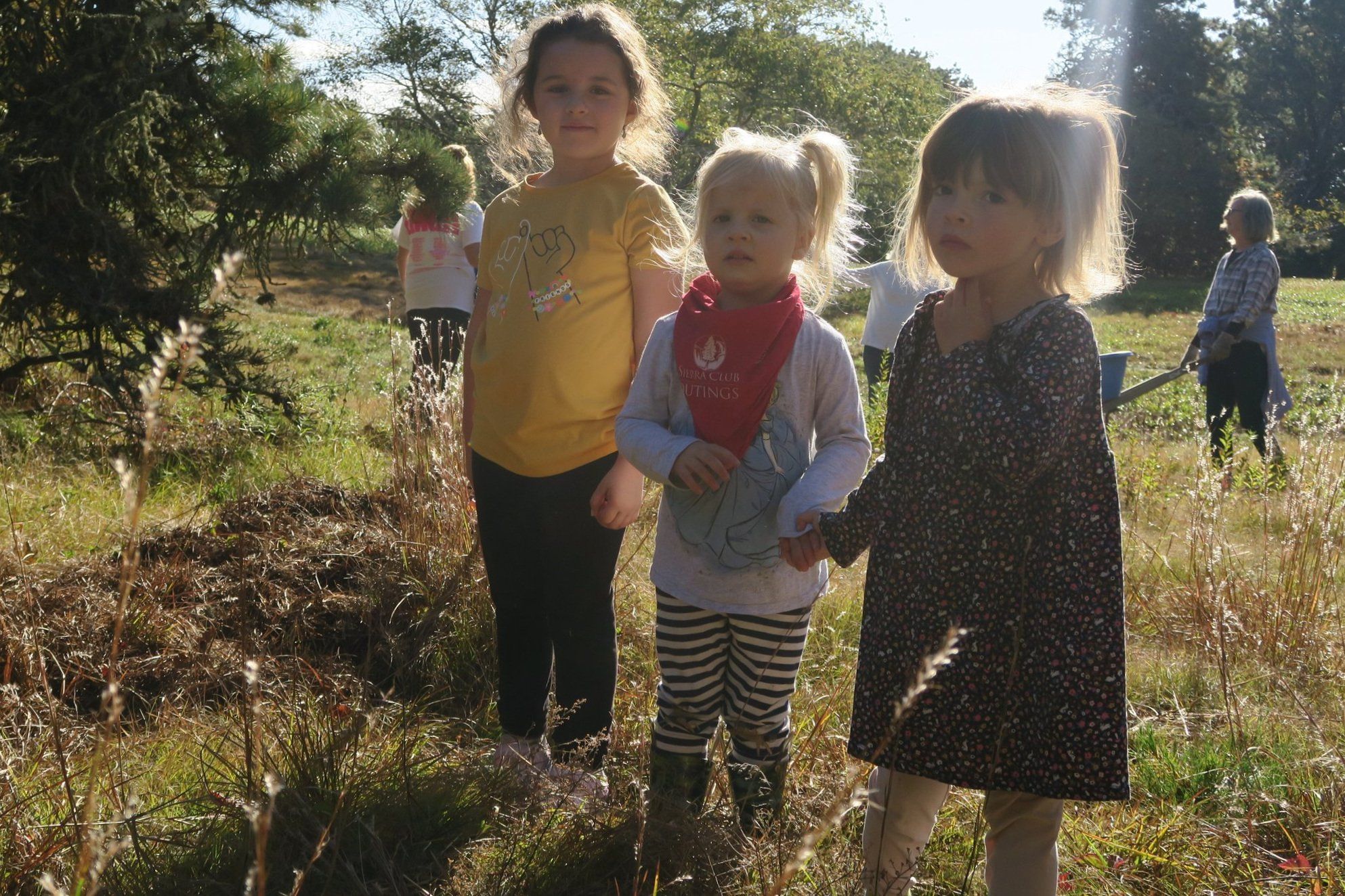 Three young children stand at the edge of a river of pine needles laid through the grass