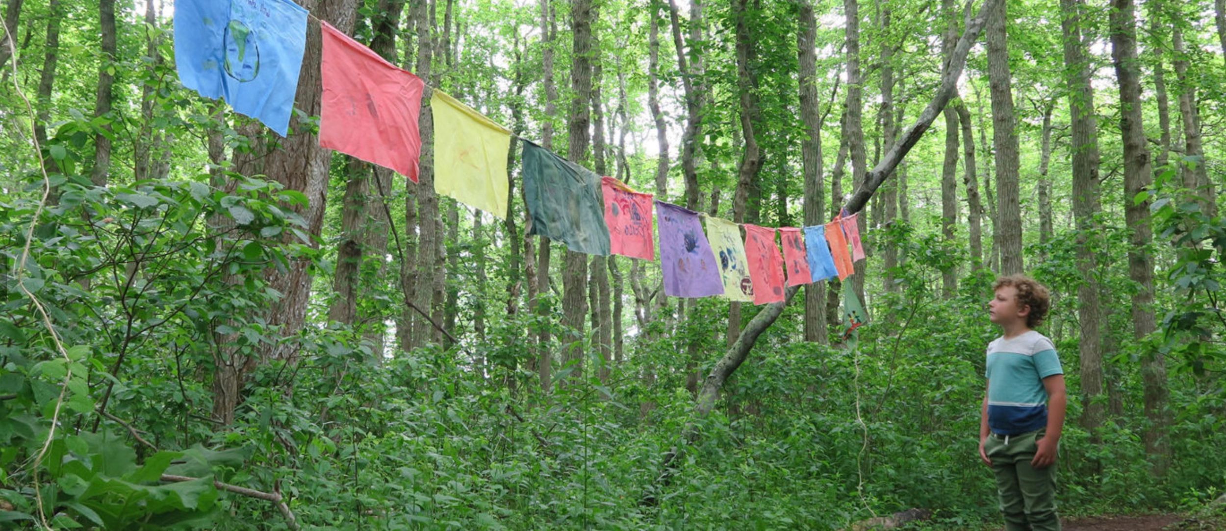 A child in the woods looks up at a line of painted wish flags strung between the trees